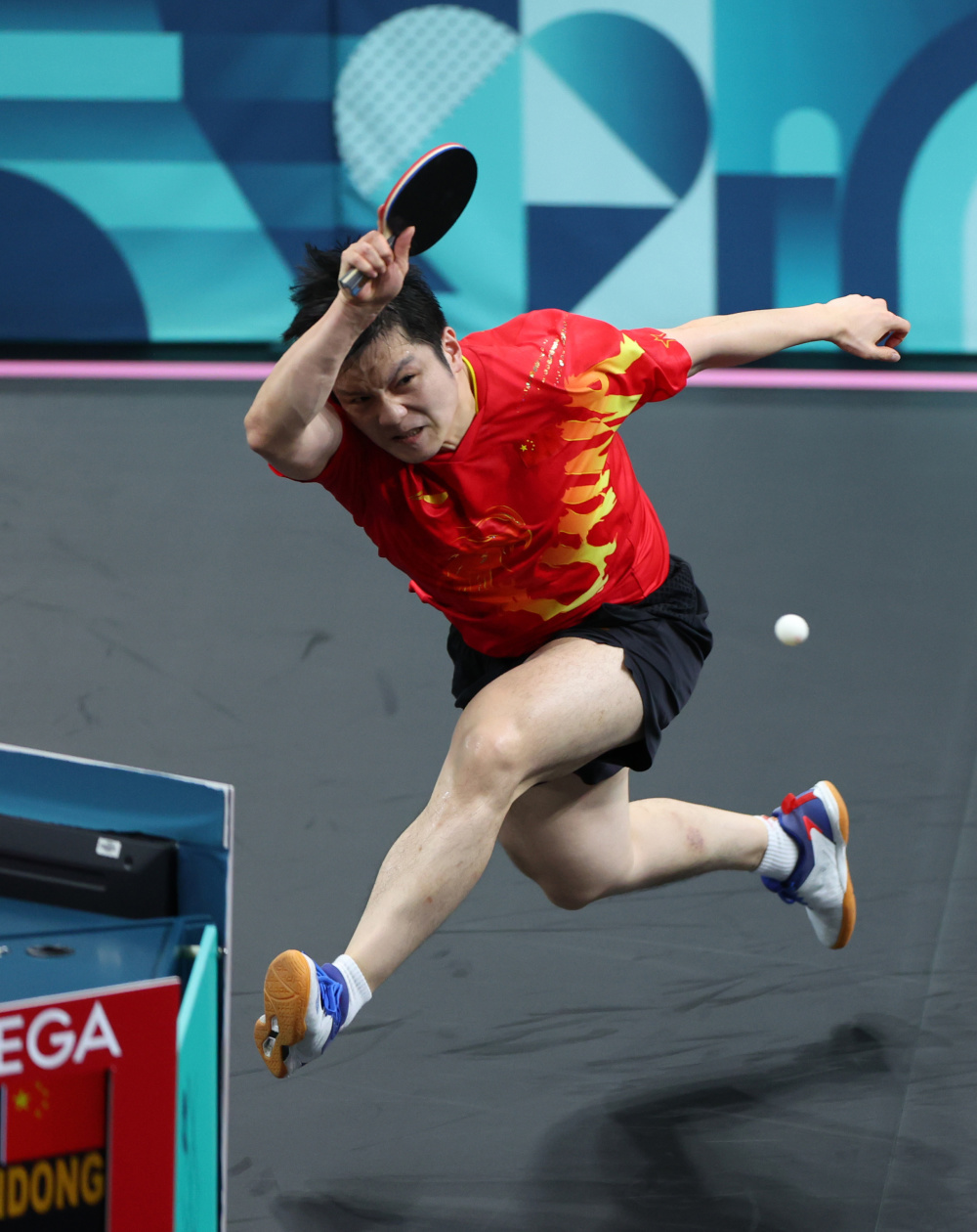 关于奥地利乒乓球队血洗比利时乒乓球队，樊振东高光表现的信息