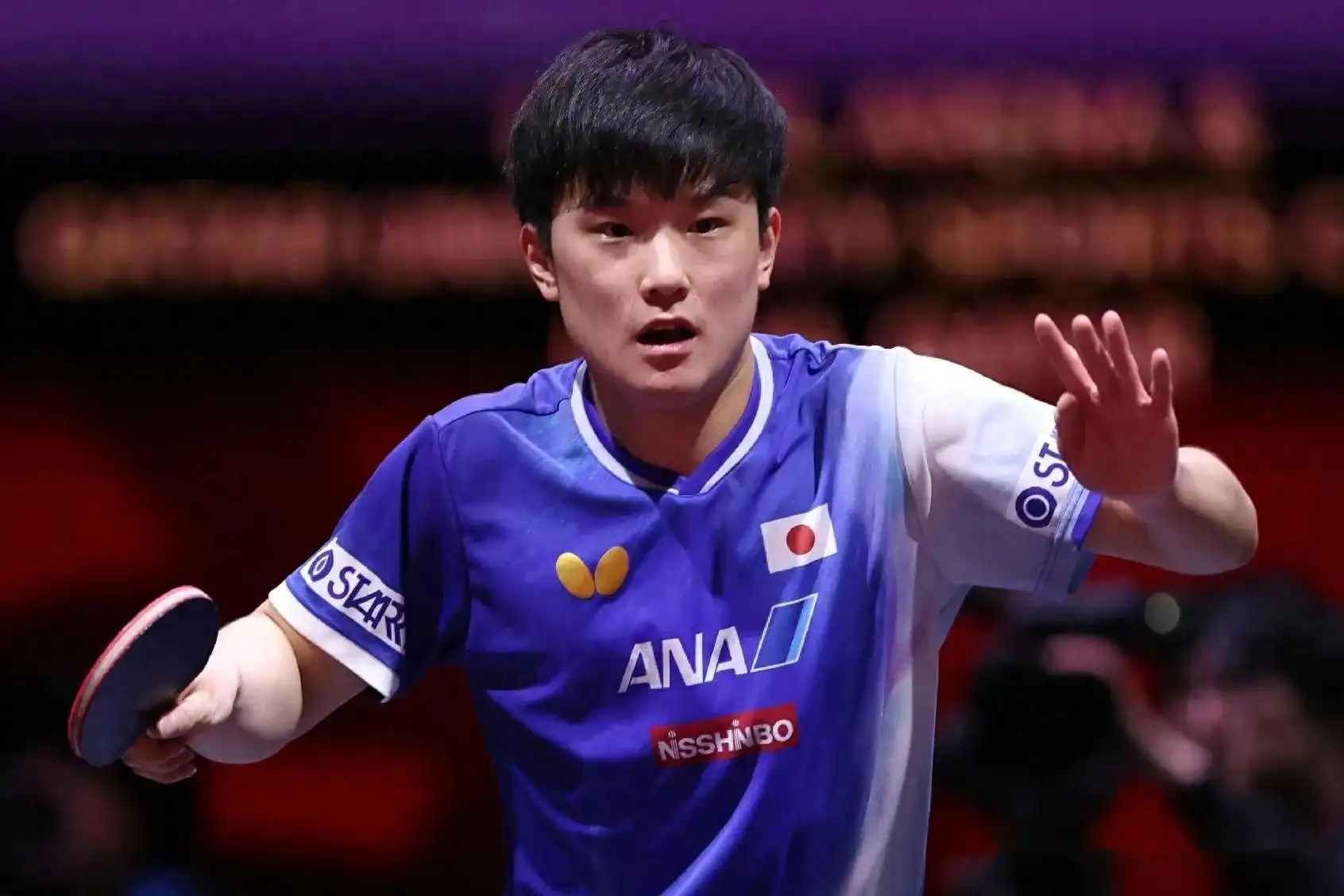 奥地利乒乓球队翻盘英国乒乓球队，张本智和制霸全场的简单介绍