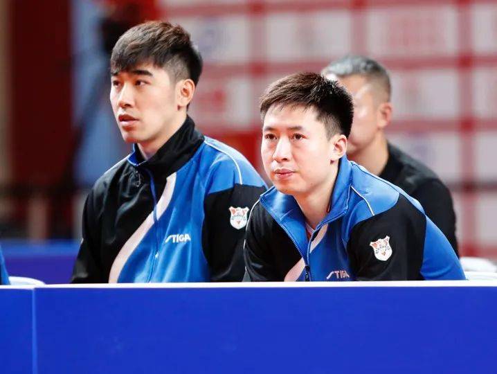 波兰队横扫瑞典队，林高远惊艳四座