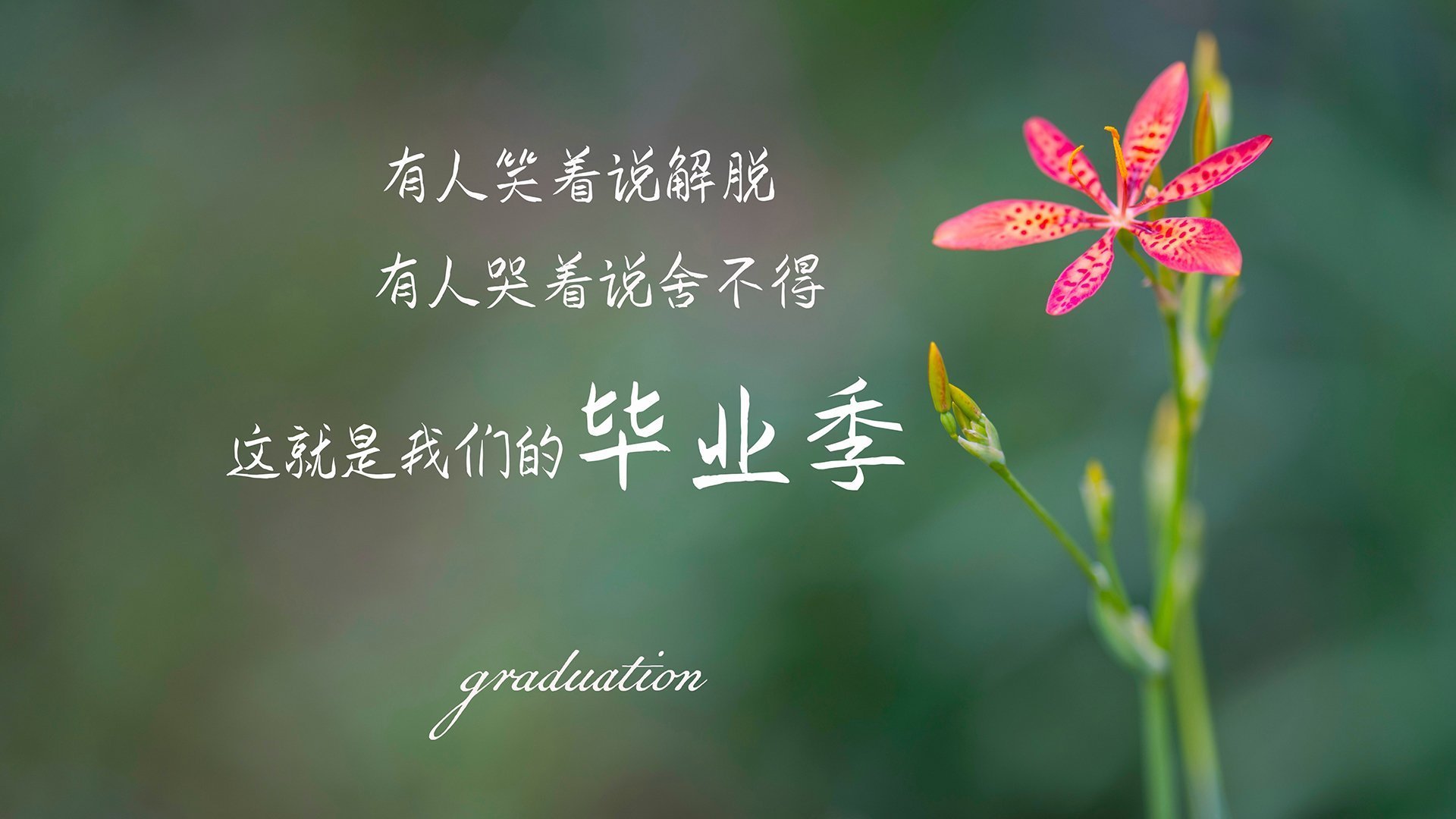 开云体育在线-奥运前哨战，雄鹿铁血击溃湖人，关键战役暴露奥运阵容隐忧