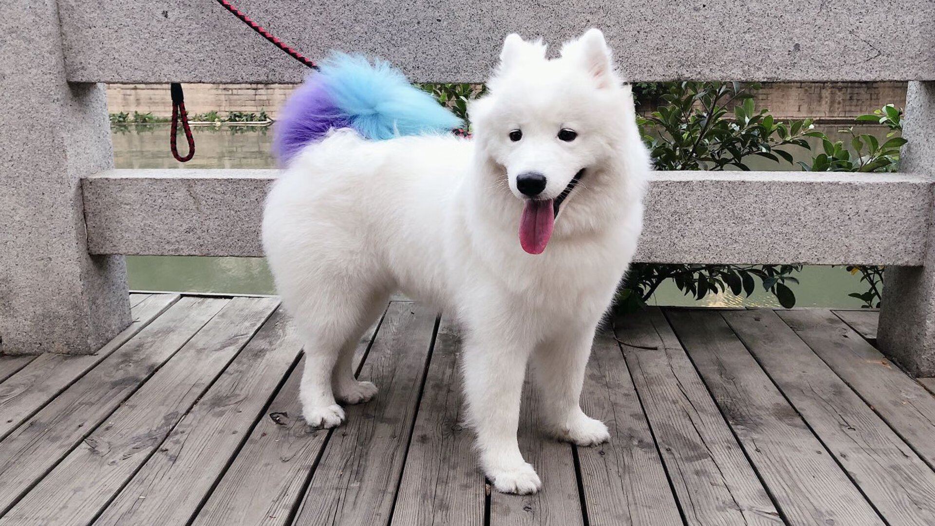 未终章的绝杀与风暴，在零秒出手前，读懂体育赐予的涅槃