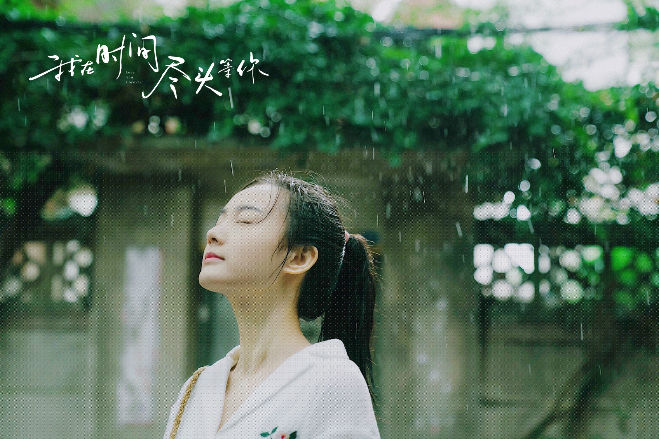 开云APP-新星撕碎锋线群，切特一战成名，森林狼亮出争冠獠牙