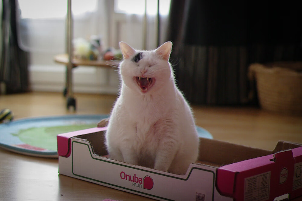 开云体育下载-终场哨响前的战争，比利亚雷亚尔的沙漠绝唱与富安健洋的救赎之路