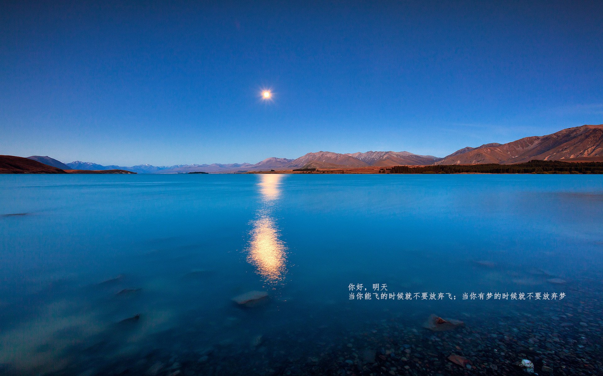 开云体育登录-杰伦格林季后赛之夜刷新纪录，新星闪耀时刻