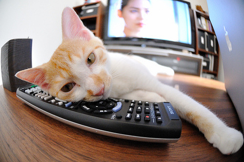 开云APP-NBA季后赛之夜，伦纳德进攻端无人可挡，一力破万军