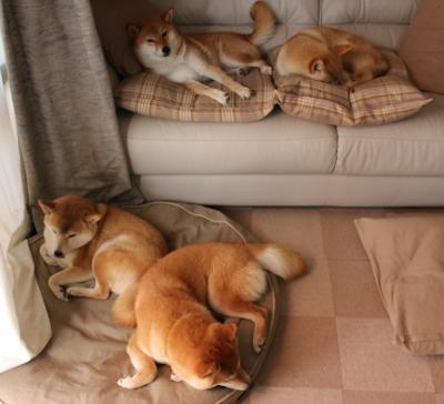 开云下载-当楚阿梅尼血拼球场，一场关于定义权的芬兰式狂想