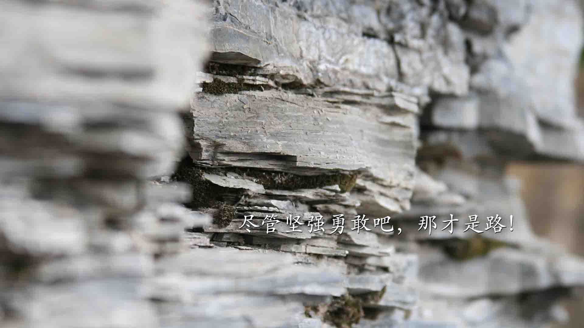 塞内加尔新星的逆袭与格鲁吉亚王子的救赎—克瓦拉茨赫利亚关键节点连续得分如何撕裂马德里竞技的钢铁防线