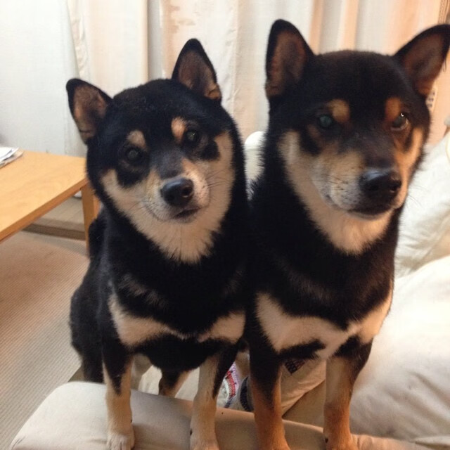 开云APP-胜利的烙印，当劳塔罗的寂静与毕尔巴鄂的呐喊交织成章