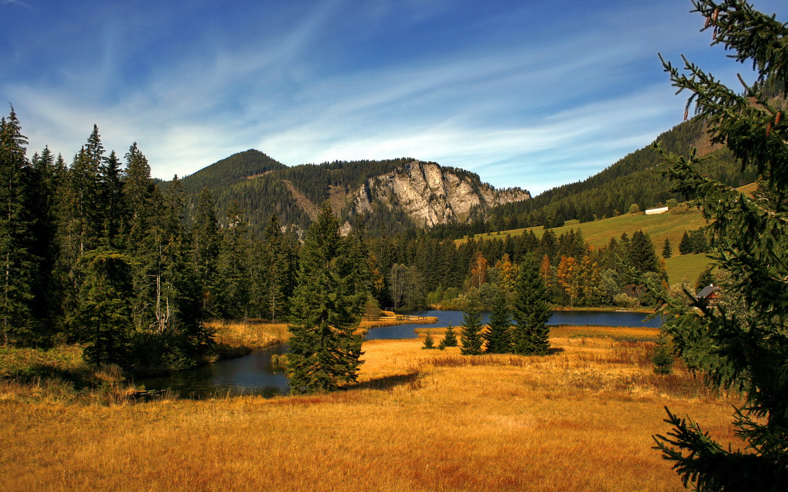 开云下载-奥利维耶爆发！牙买加队爆冷击败多特蒙德谱写足球奇迹