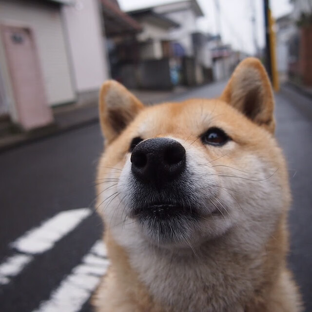 开云体育APP下载-铁闸与闪电，德里赫特统治全场，国际米兰三分钟终结悬念