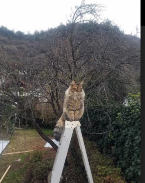 开云体育-关键战，两种战场，一种决心