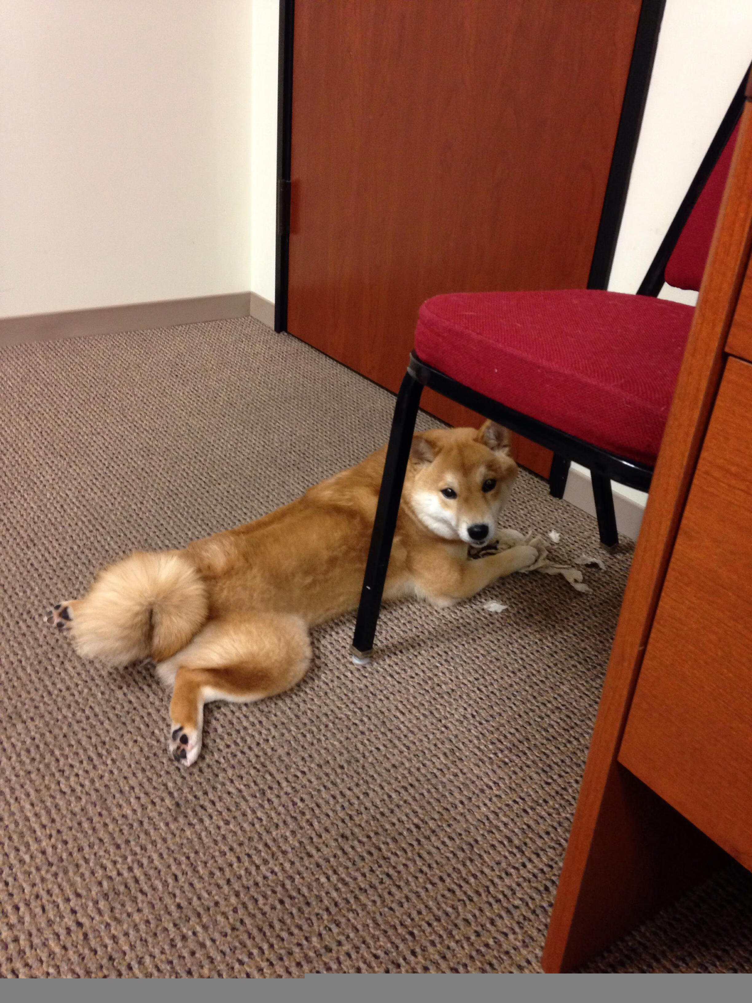 开云体育APP下载-乔治末节15分扼杀雄鹿反扑，关键先生定义费城新硬度