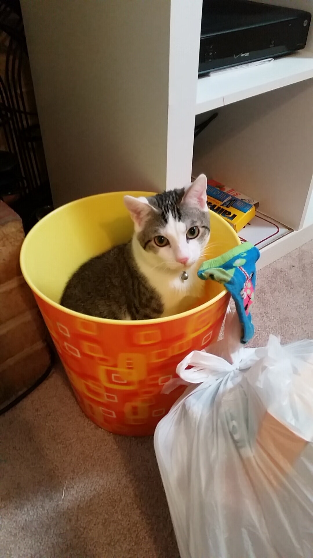 从冰岛到摩洛哥，赖斯如何用温差思维在决赛主宰节奏