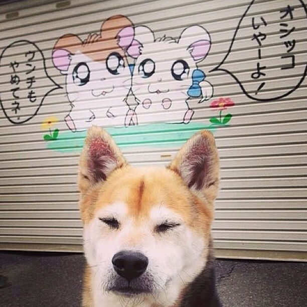 绿茵场的棋手与赛道的艺术家，当日本斩落伊朗，莫德里奇于F1争冠中接管比赛