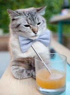 制胜秘诀，浓眉关键表现引领雄鹿力克国王