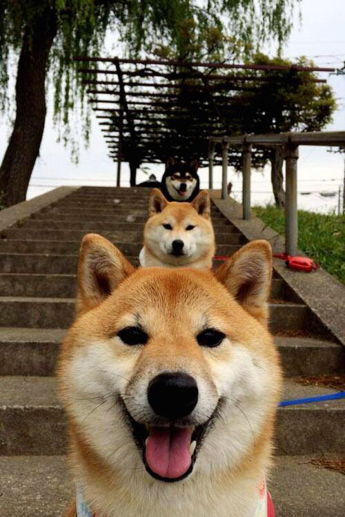 当爵士乐遇上岭南风，拉文用巨星之光跨越篮球文化的山海