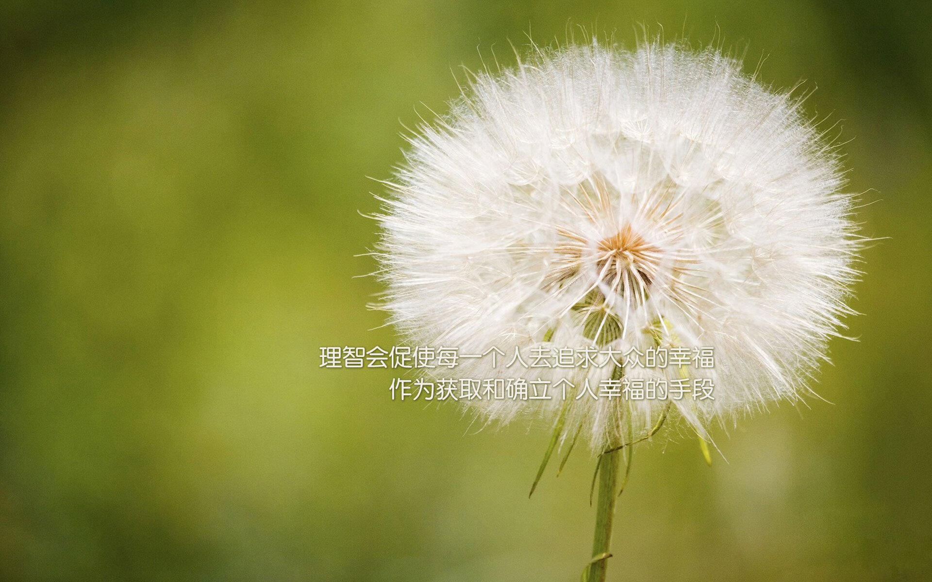 鹰击长空，哈登封神，抢七夜的终极主宰