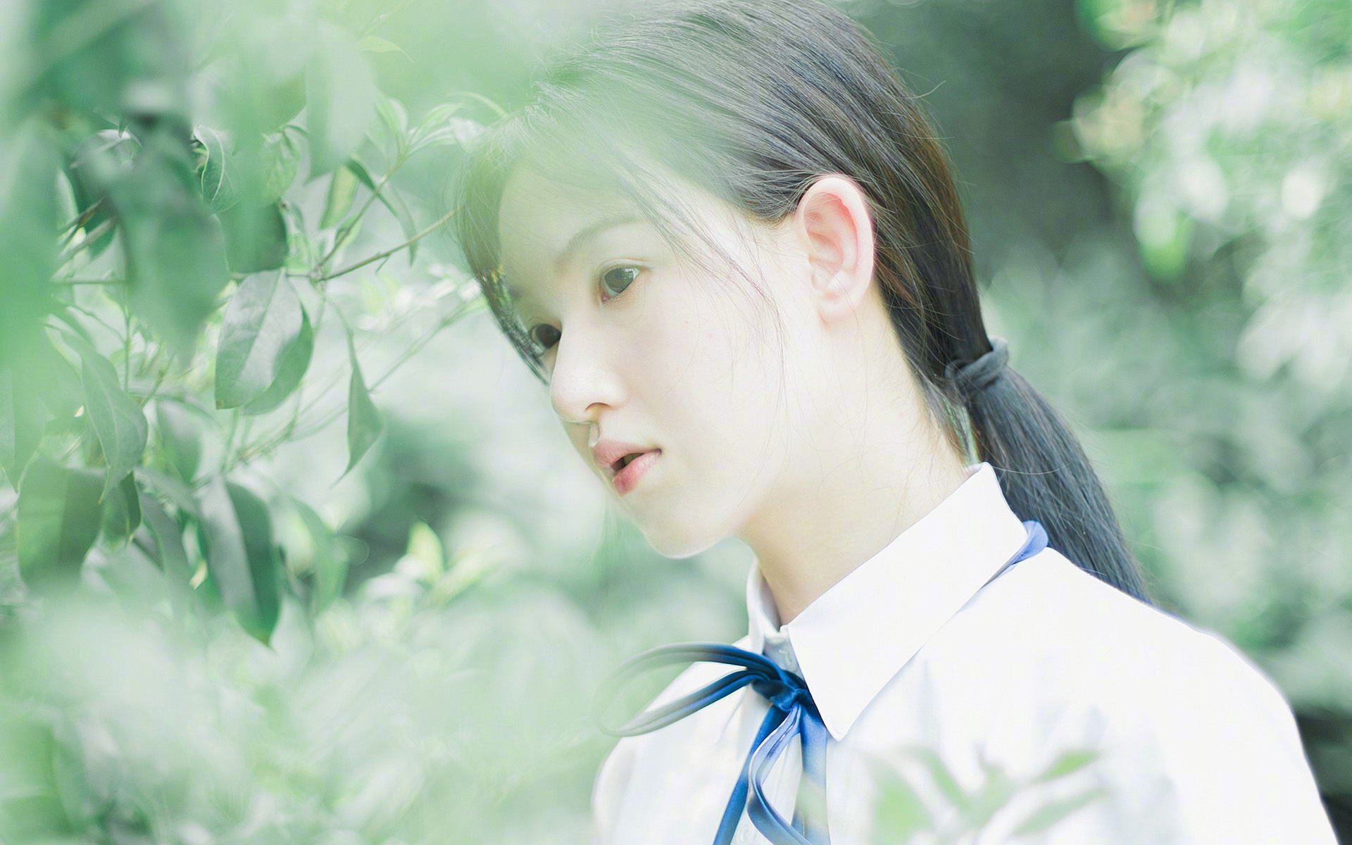 双星闪耀篮球周末，文班亚马的天赋盛宴与浙江队的绝杀艺术