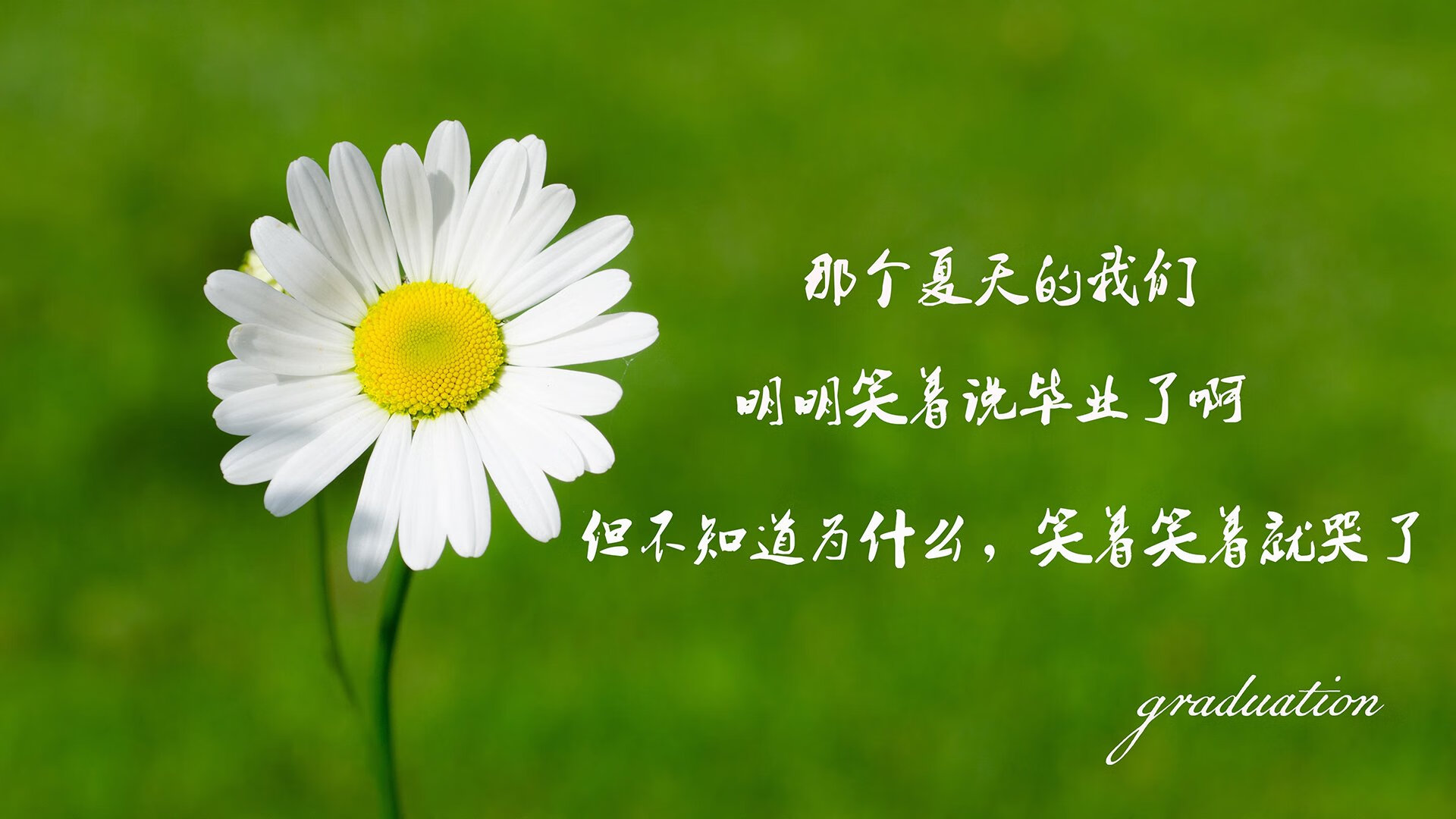 2026世界杯淘汰赛焦点战,奥地利奇阵压制葡萄牙,萨卡独舞引领冷门之夜